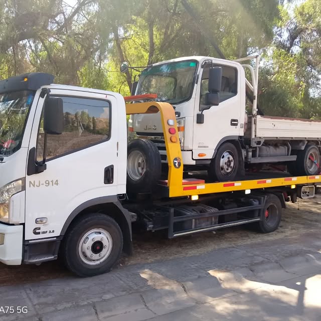 Camión blanco transportado en una grúa de plataforma